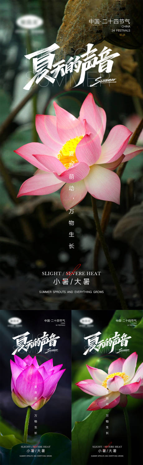 源文件下載【夏至節(jié)氣系列海報(bào)】編號(hào)：56620010604126549