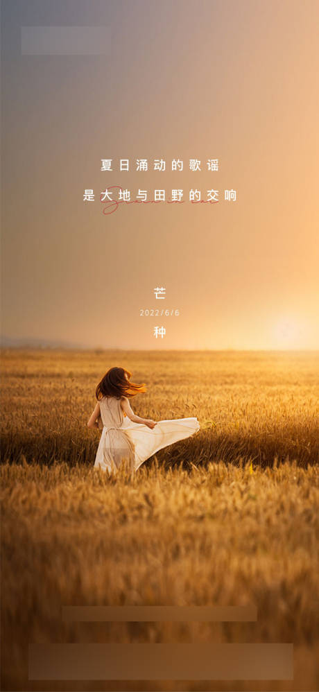 源文件下载【芒种海报】编号：96780010340461766