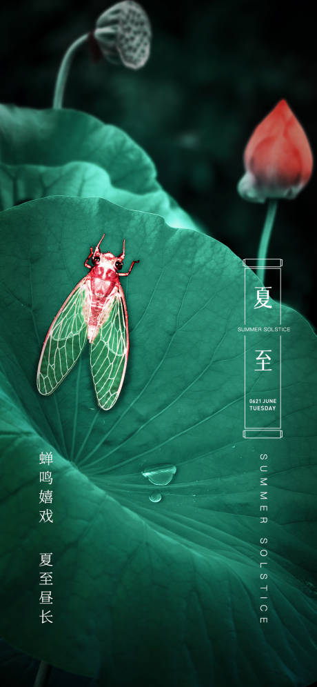 源文件下载【夏至蝉鸣简约海报】编号：74360010523465083