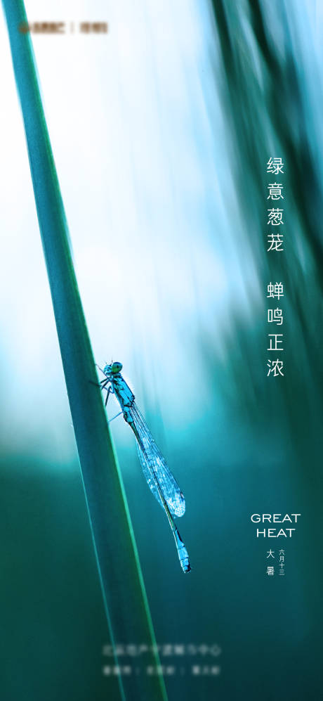 源文件下載【享設計】搜索編號：65880010650136669【大暑海報】