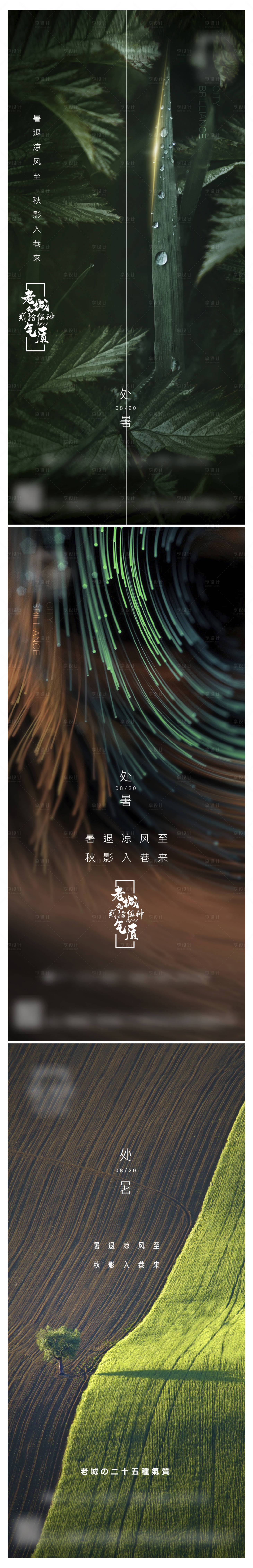 源文件下载【处暑节气系列海报】编号：59510010704974177