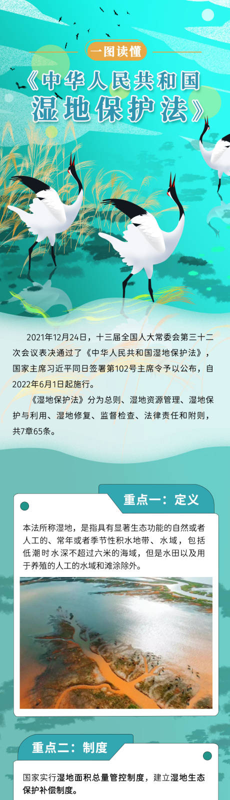 源文件下载【一图读懂《湿地保护法》长图】编号：20220613094239281