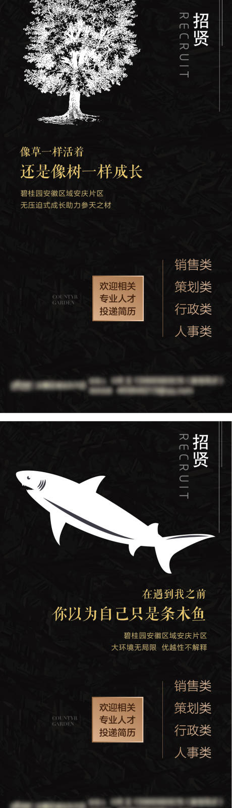 源文件下载【房地产片区招聘系列】编号：56420010467404371