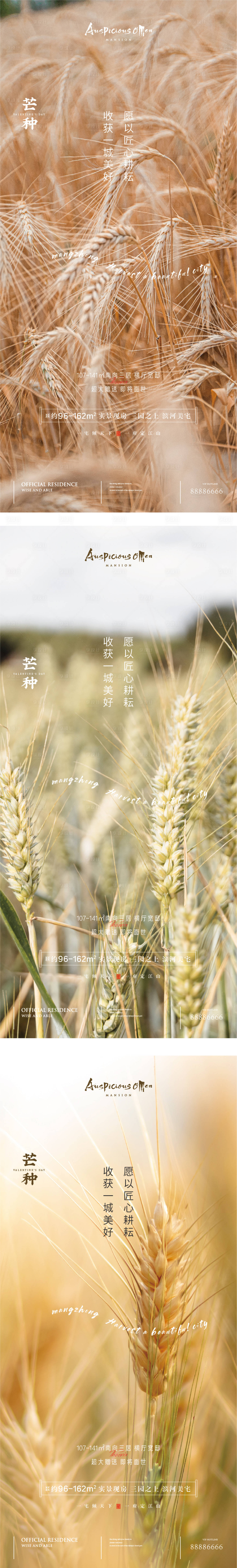 源文件下載【芒種節氣系列海報】編號：91610010825233056