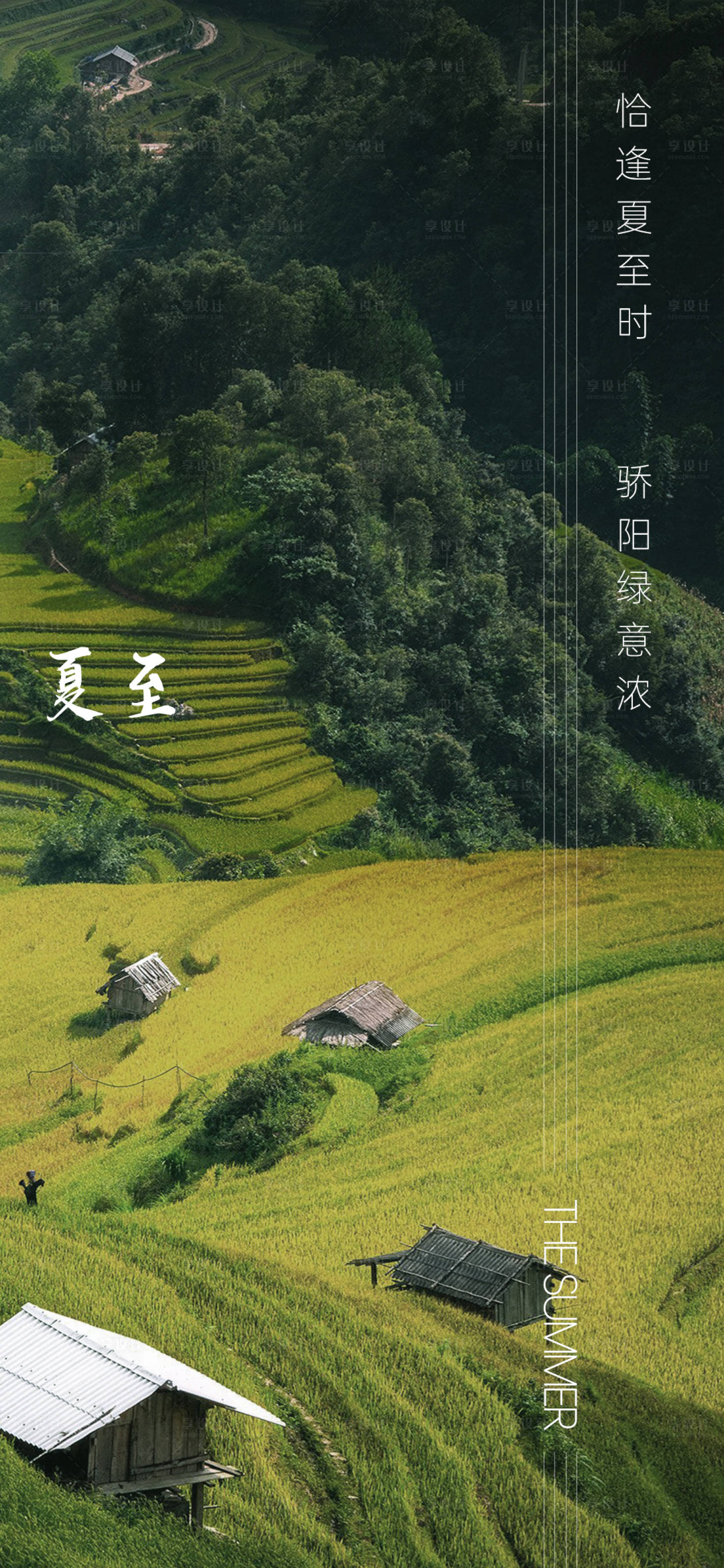 源文件下載【地產夏至節氣海報】編號：35390010471103262