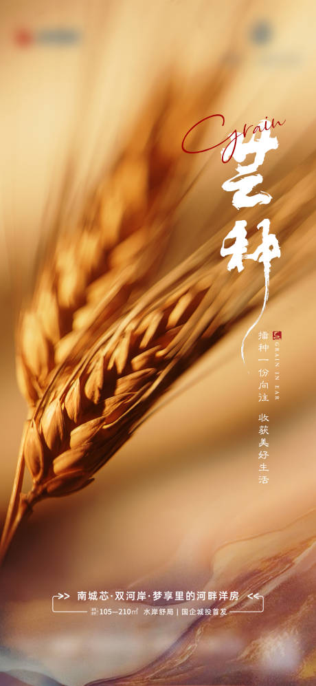 源文件下載【享設計】搜索編號：56640010344715895【芒種麥穗節氣海報】