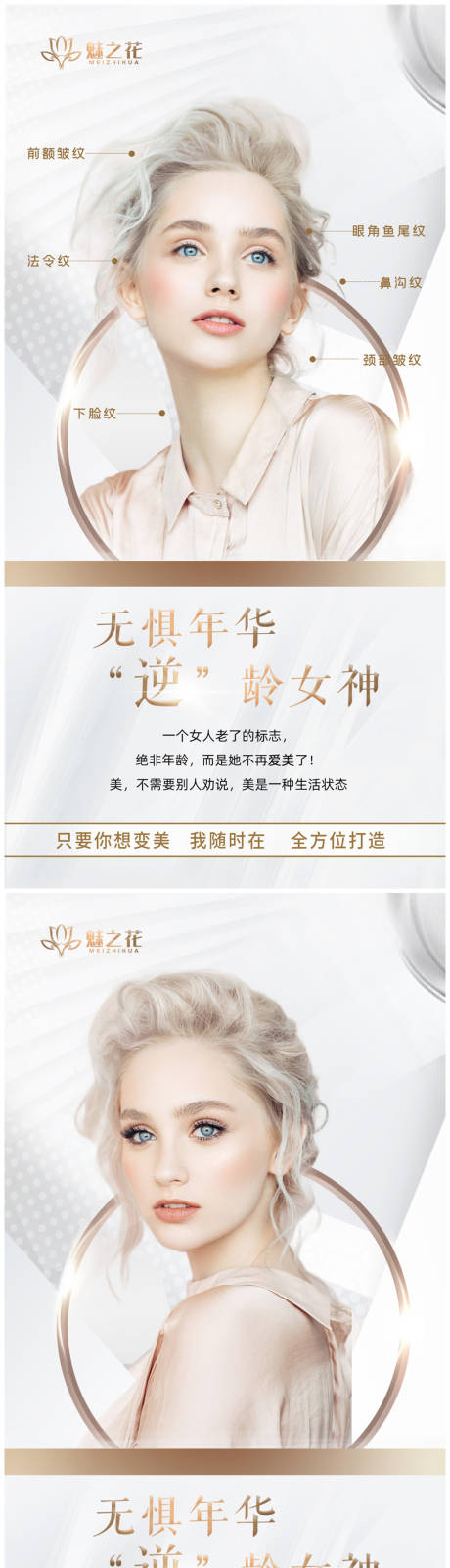 源文件下载【白金海报】编号：23100010662511128