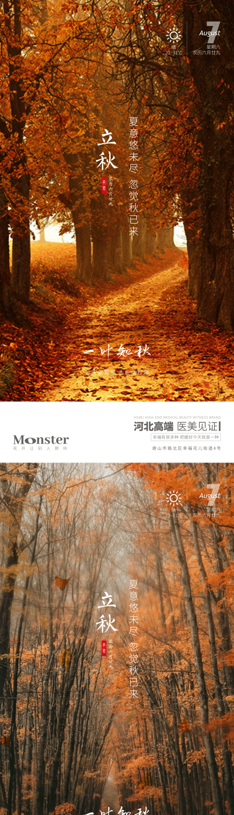 源文件下载【医美立秋系列海报】编号：71210010329515128