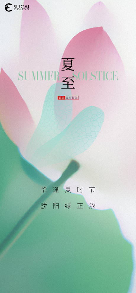源文件下载【夏至节气海报】编号：63630010411751637