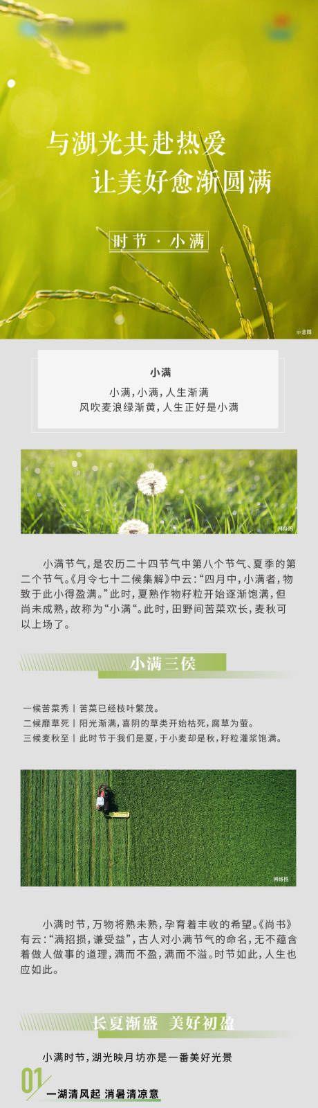 源文件下载【小满节气长图】编号：36980010405748470