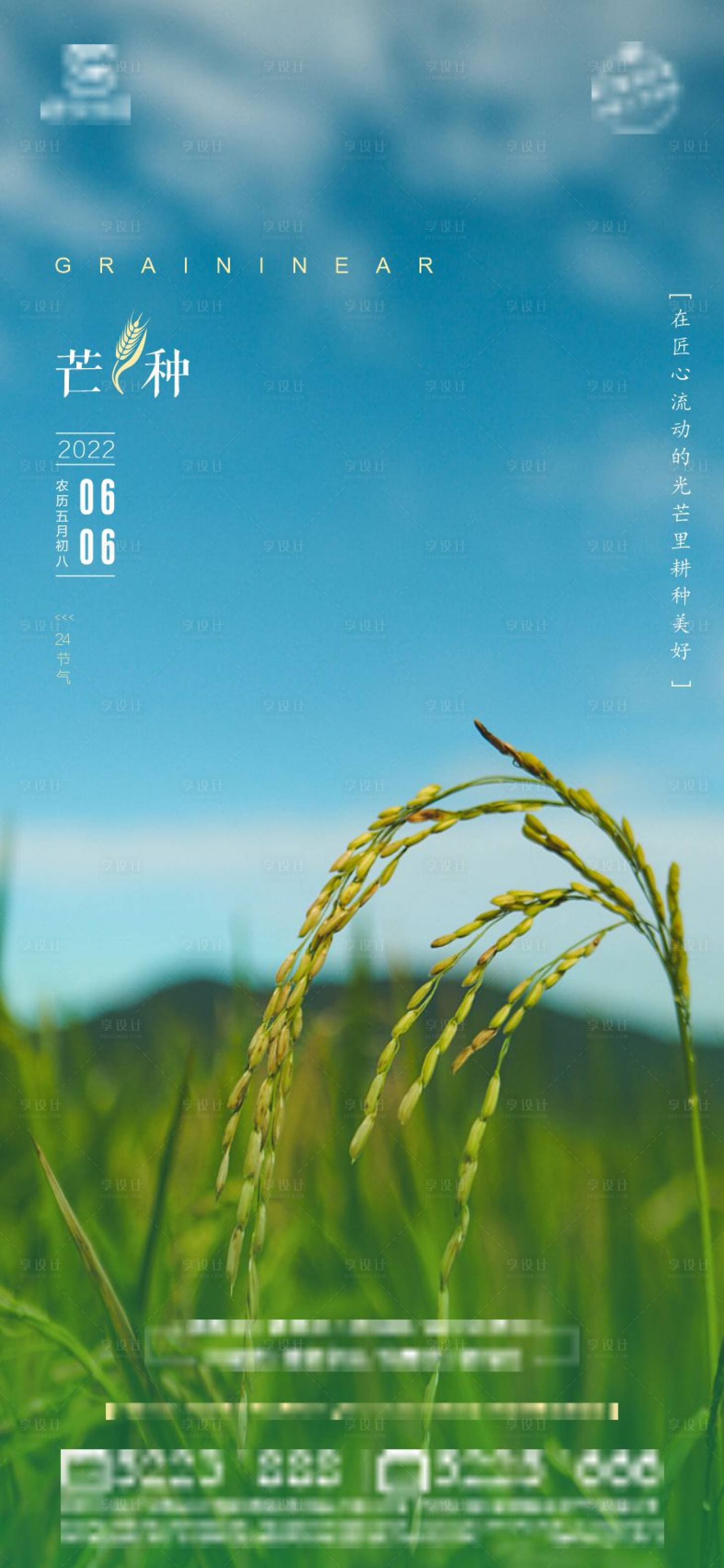 源文件下載【芒種節氣稿】編號：26840010408289903