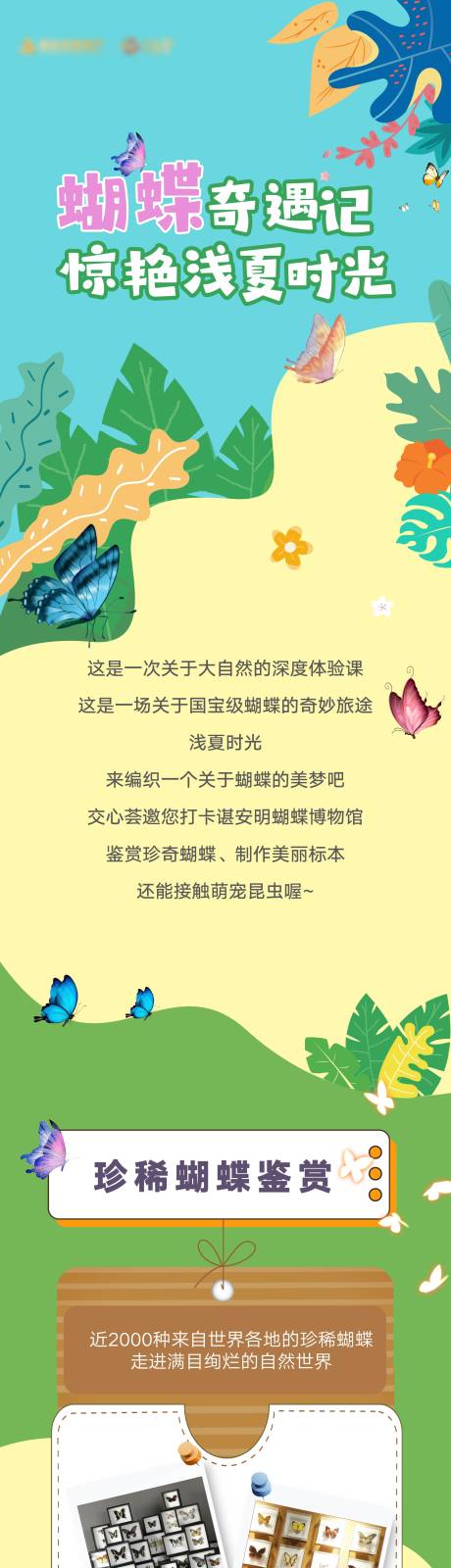 源文件下载【蝴蝶博物馆活动造势长图】编号：77080010789048432