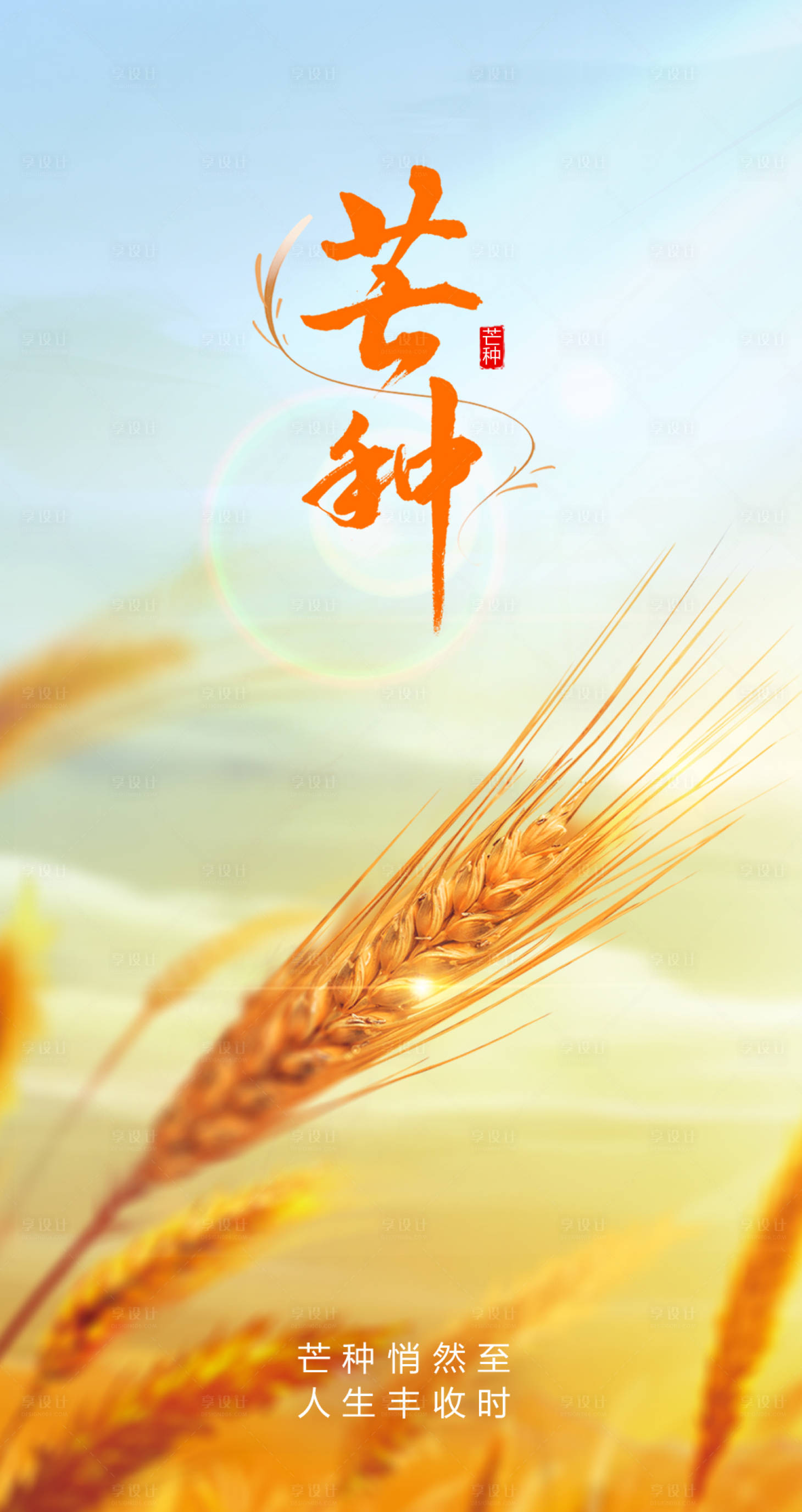 源文件下載【享設計】搜索編號：63690011223254480【芒種節氣海報】