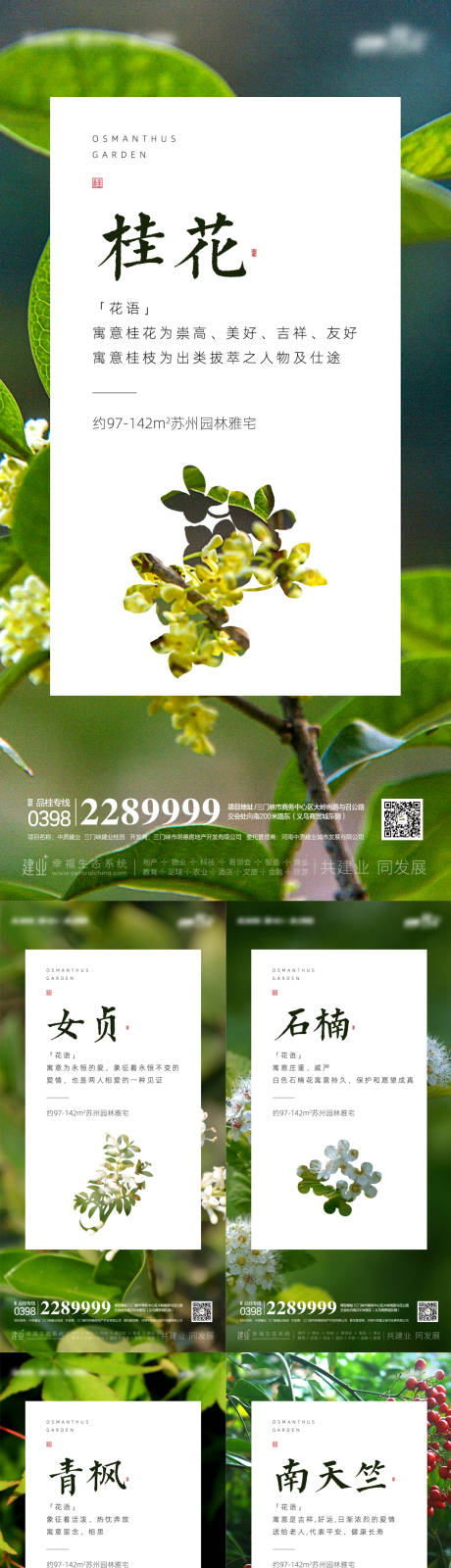 源文件下载【享设计】搜索编号：80660011277493990【地产花语系列微信海报】