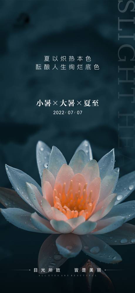 源文件下载【享设计】搜索编号：94550010921756974【医美小暑大暑夏至节气海报】