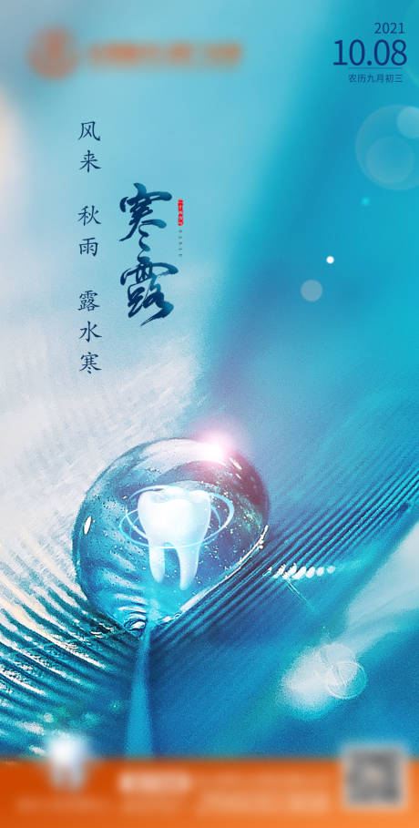 源文件下載【醫(yī)美整形美容活動套餐海報節(jié)氣寒露】編號：80130011101366313