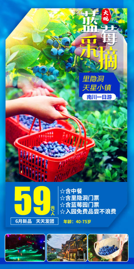 源文件下載【享設計】搜索編號：64930011166684885【藍莓采摘旅游海報】