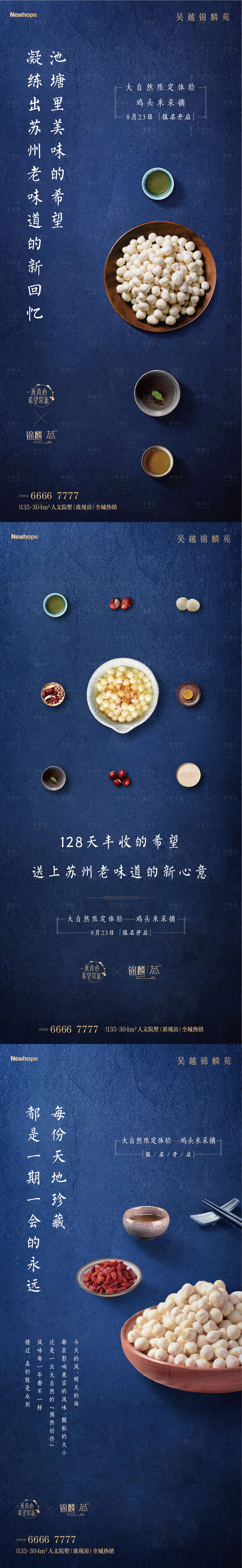 源文件下载【地产鸡头米活动】编号：21300011059044802