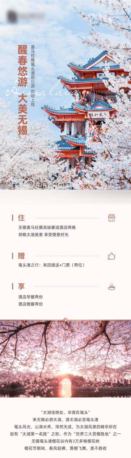 源文件下载【地产樱花春游旅游活动长图专题设计】编号：83750011264695108