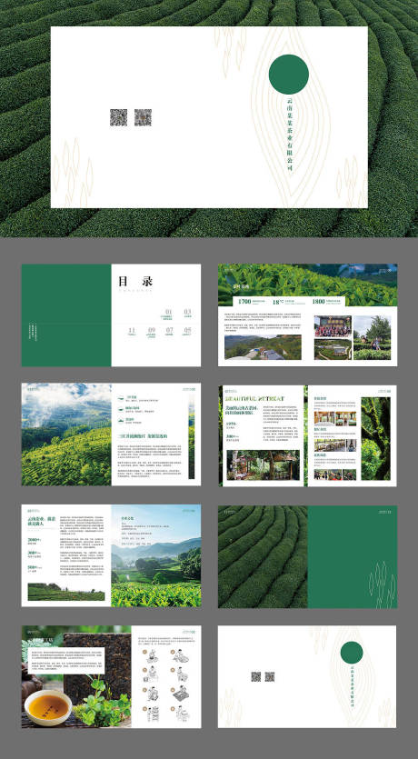 源文件下载【创意高端茶叶茶山宣传册】编号：59910010461384862