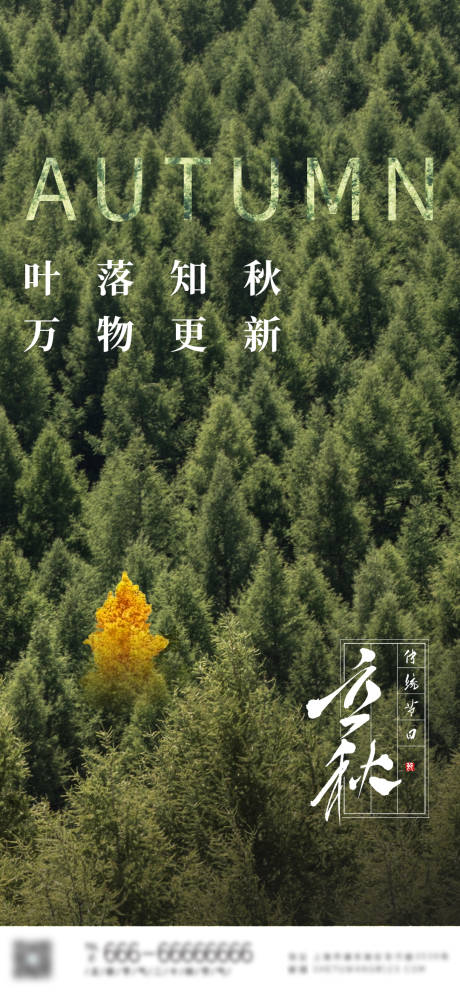 源文件下载【地产立秋节气海报】编号：22560010997393418