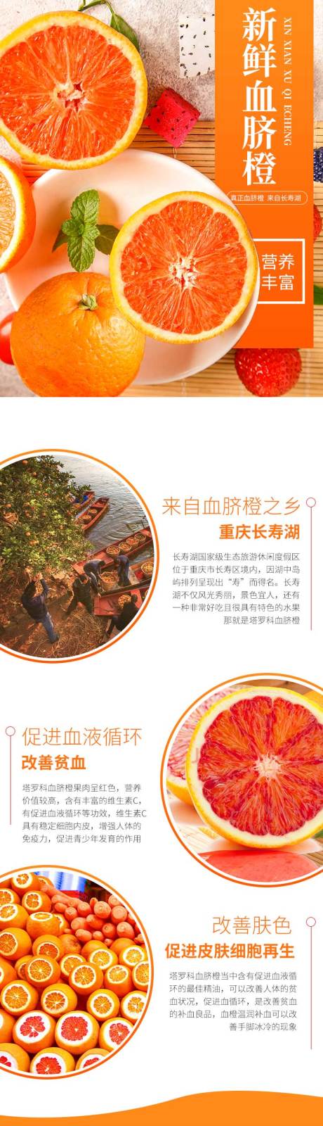 源文件下载【长寿湖血脐橙电商详情页】编号：69950011175587249