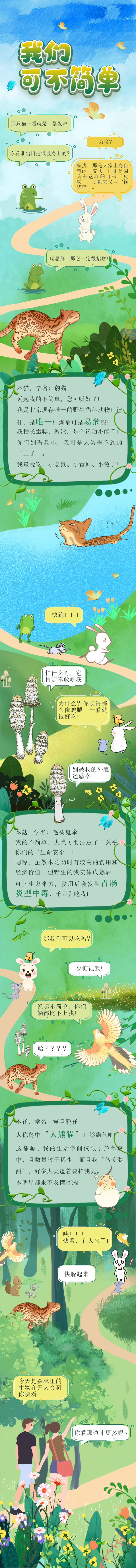 源文件下載【享設計】搜索編號：87720011287083795【生物多樣性動物條漫長圖專題設計】
