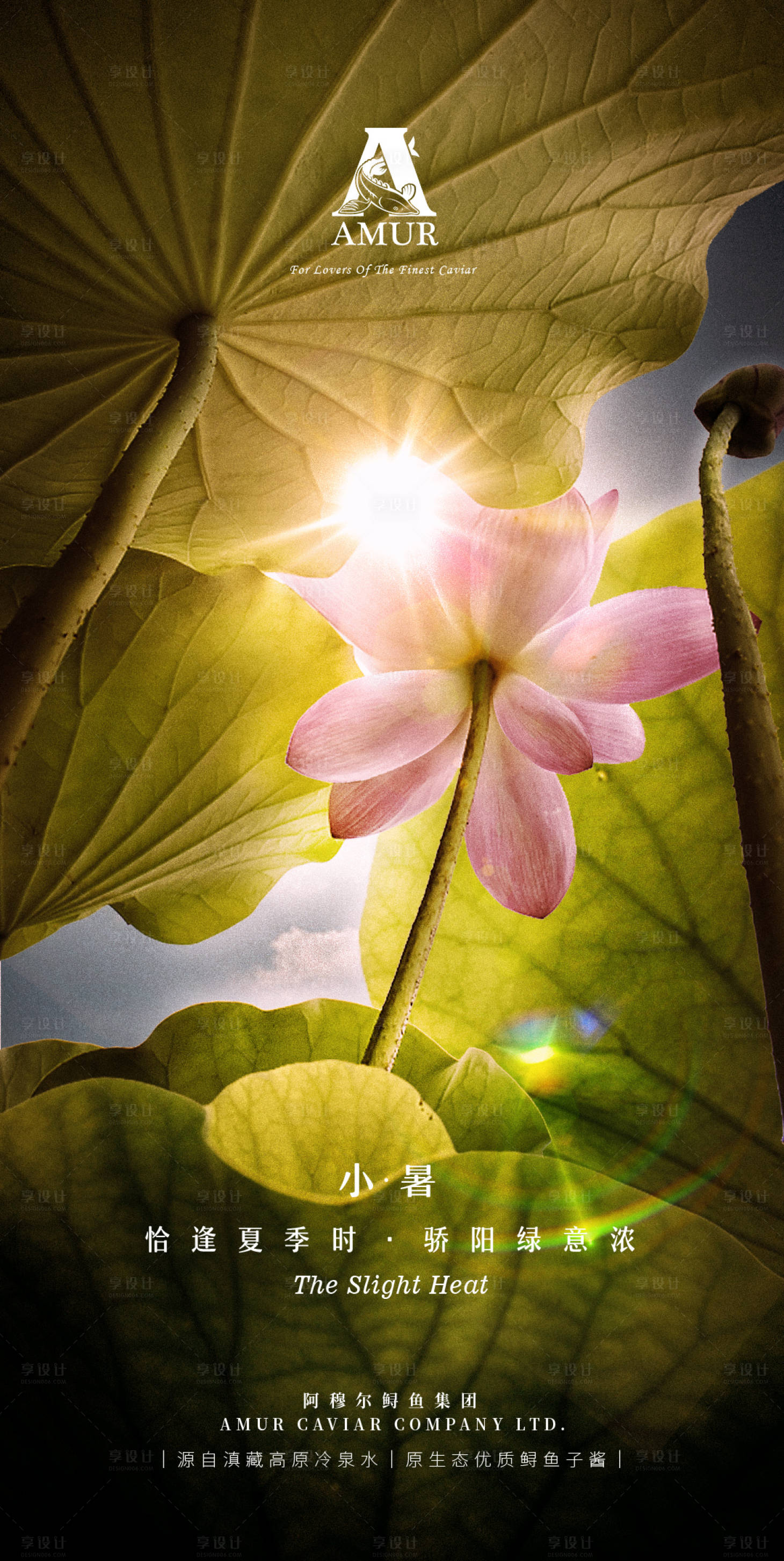 源文件下载【享设计】搜索编号：82170011184693635【小暑海报】