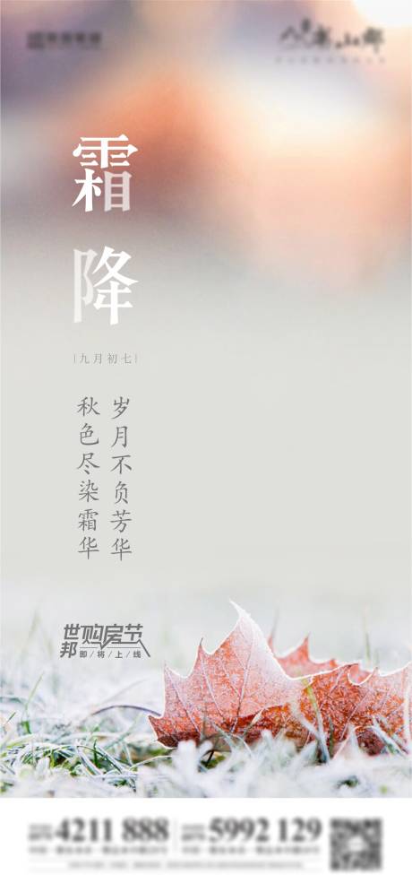 源文件下载【地产节气稿霜降】编号：28300011240684389