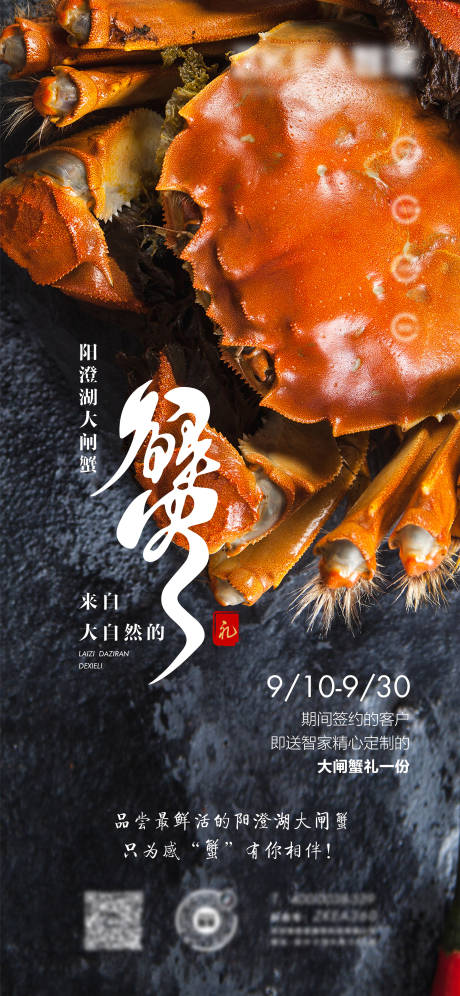 源文件下載【享設計】搜索編號：37880011164471823【大閘蟹營銷活動】