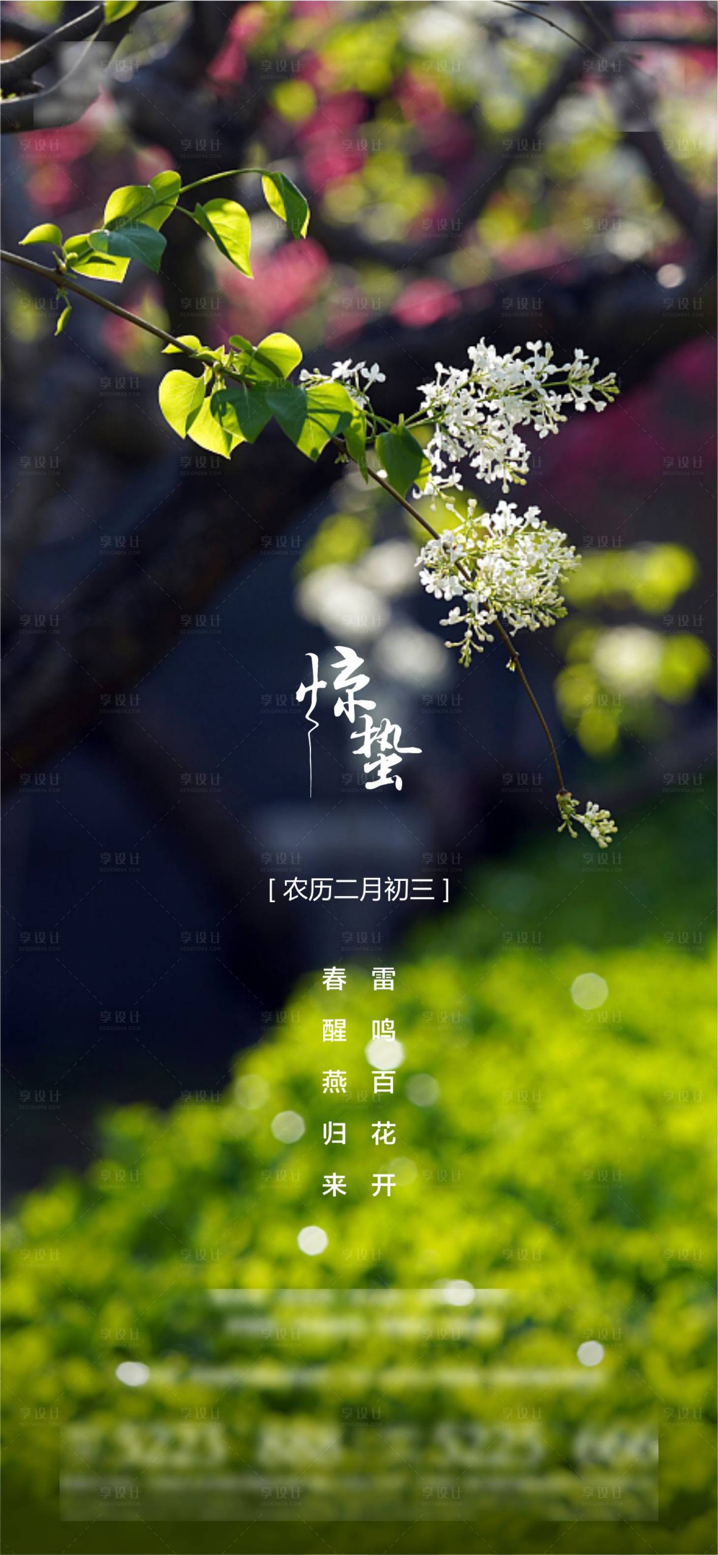 源文件下载【享设计】搜索编号：52470010928039731【惊蛰海报】