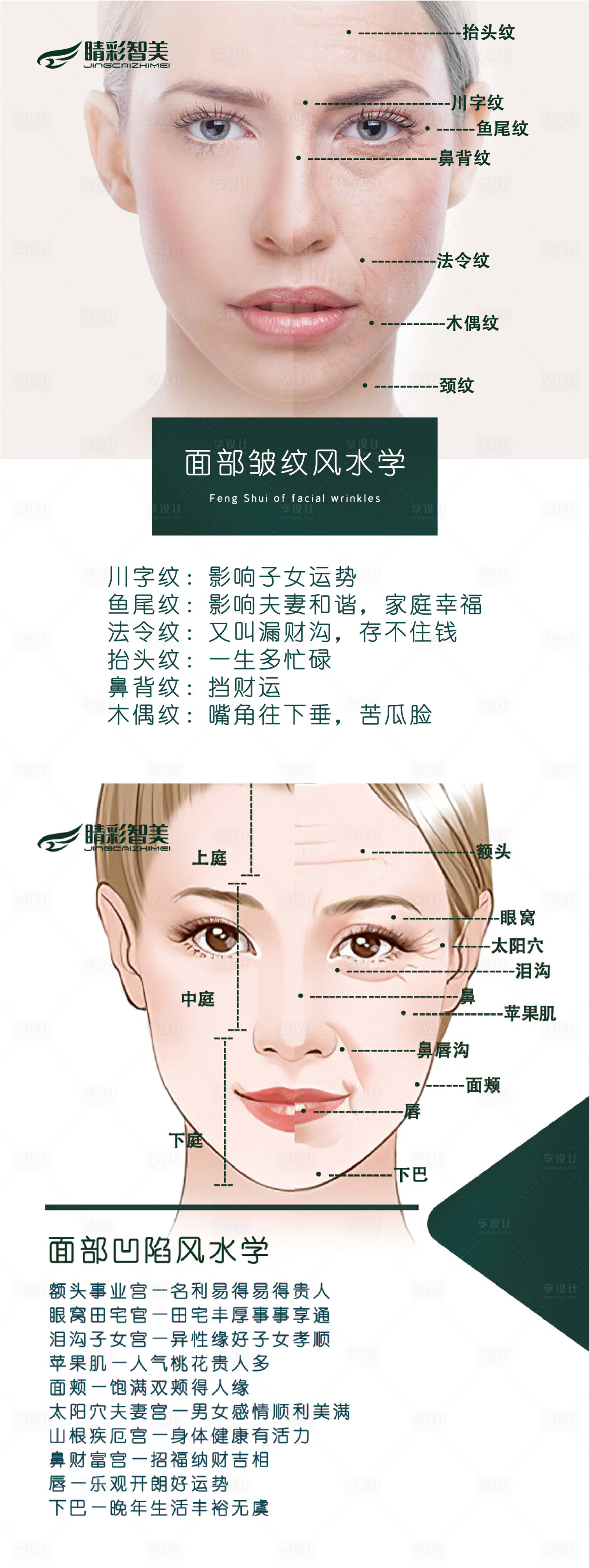 源文件下載【享設計】搜索編號：20160010852673339【抗衰案例對比人物面相海報】