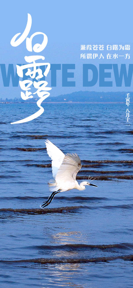 源文件下载【享设计】搜索编号：47490011284611311【白露节气海报】
