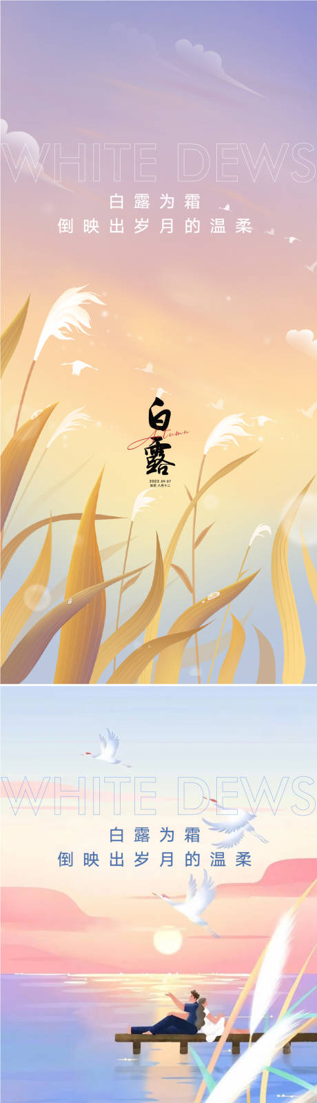 源文件下载【白露海报】编号：45330011384355522