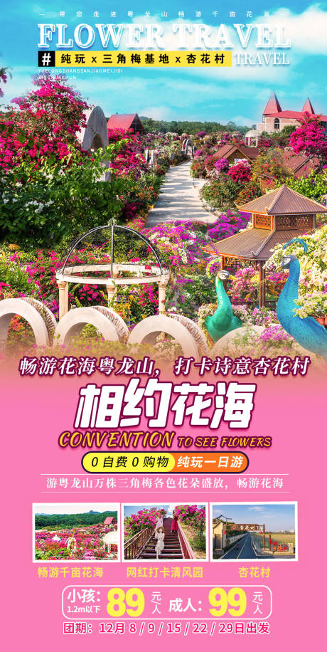 粤龙山旅游海报