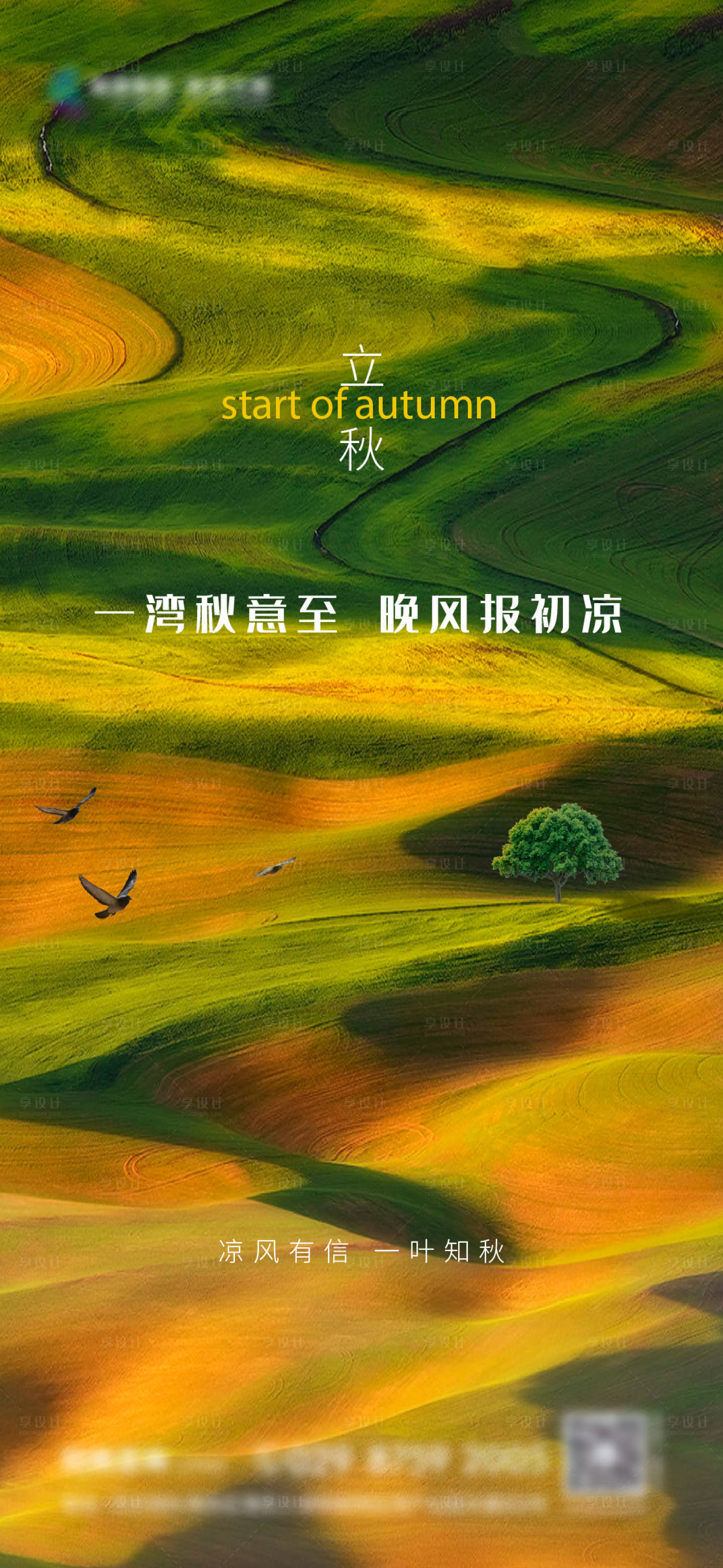 源文件下载【立秋节气海报】编号：68850011302552824