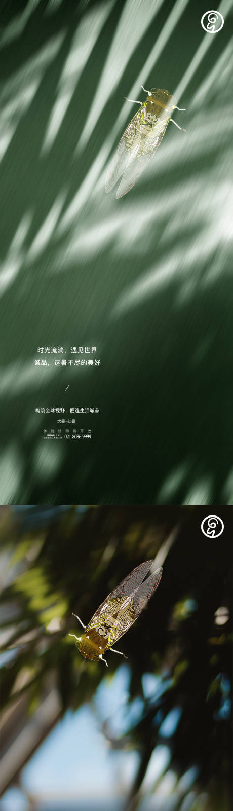 源文件下载【大暑处暑蝉秀稿】编号：29000011002638334
