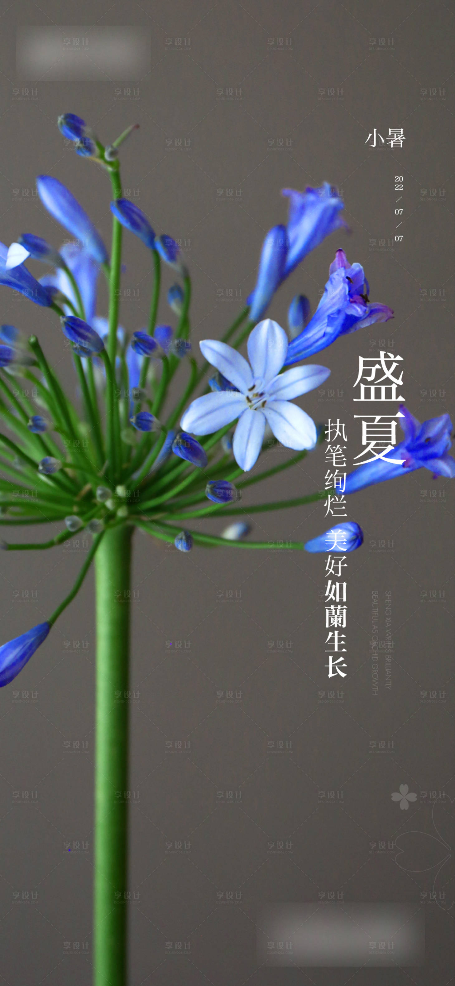 源文件下載【享設計】搜索編號：70160010933615683【小暑】