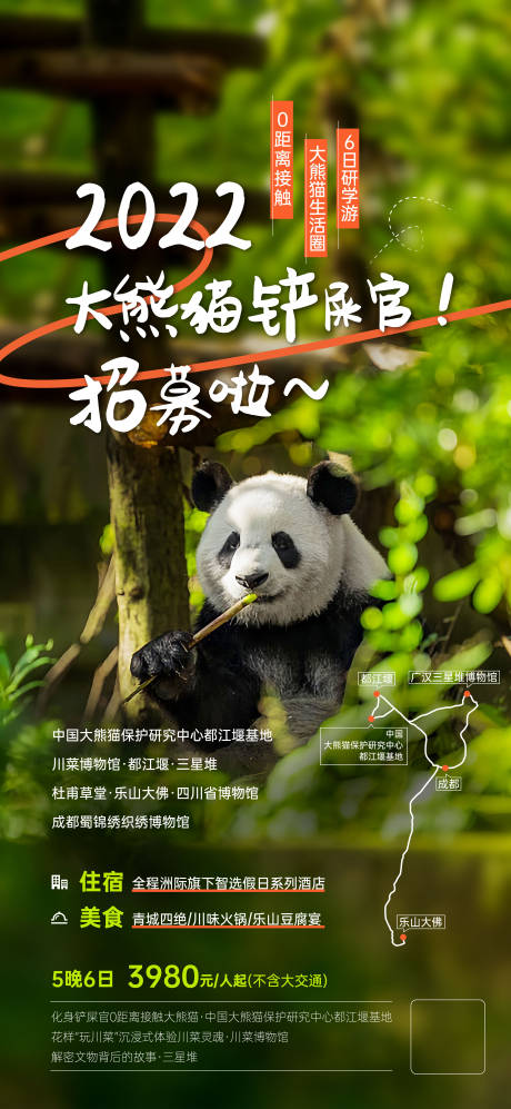编号：20220730231438638【享设计】源文件下载-成都大熊猫招募海报