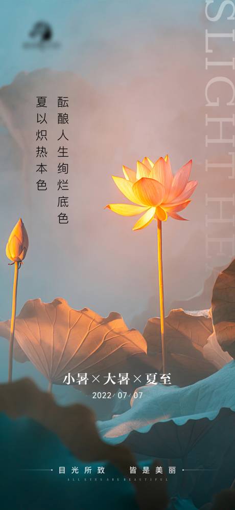 源文件下载【医美小暑大暑夏至节气海报】编号：36300010921746220