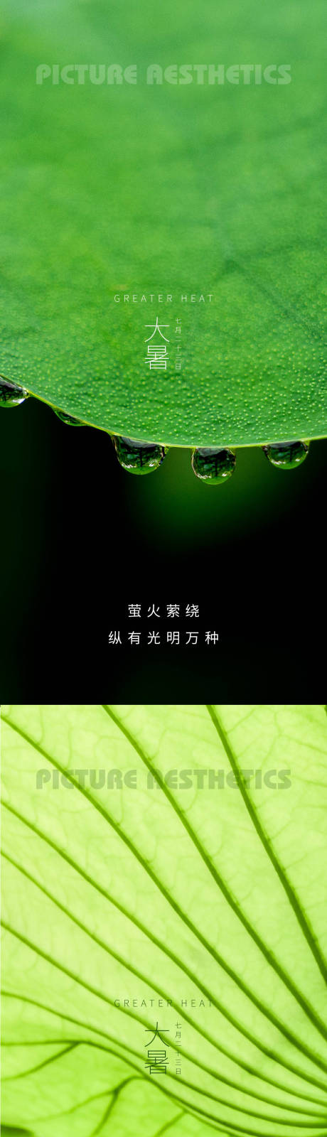 源文件下载【荷叶大暑24节气海报】编号：80600011025139074