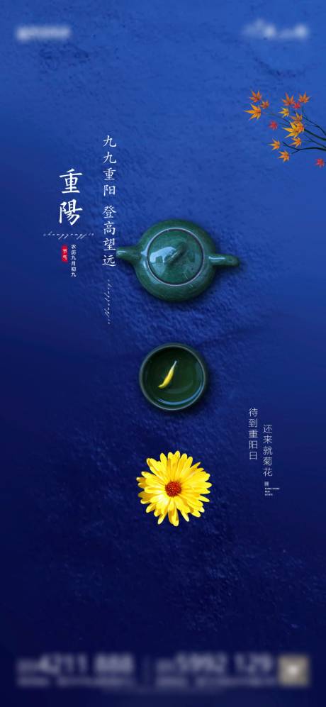 源文件下载【重阳节】编号：65740011251157773