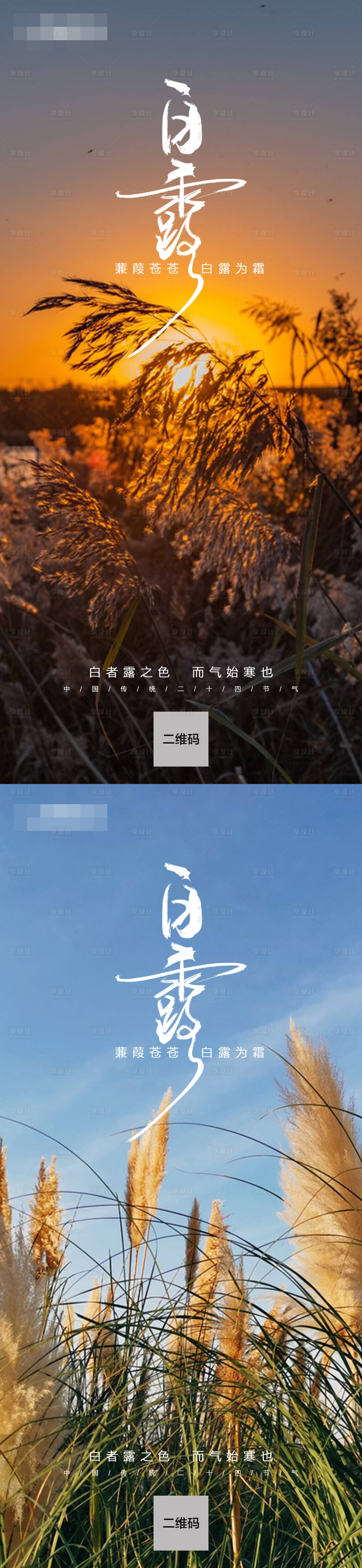 源文件下载【白露海报】编号：39490011806631541
