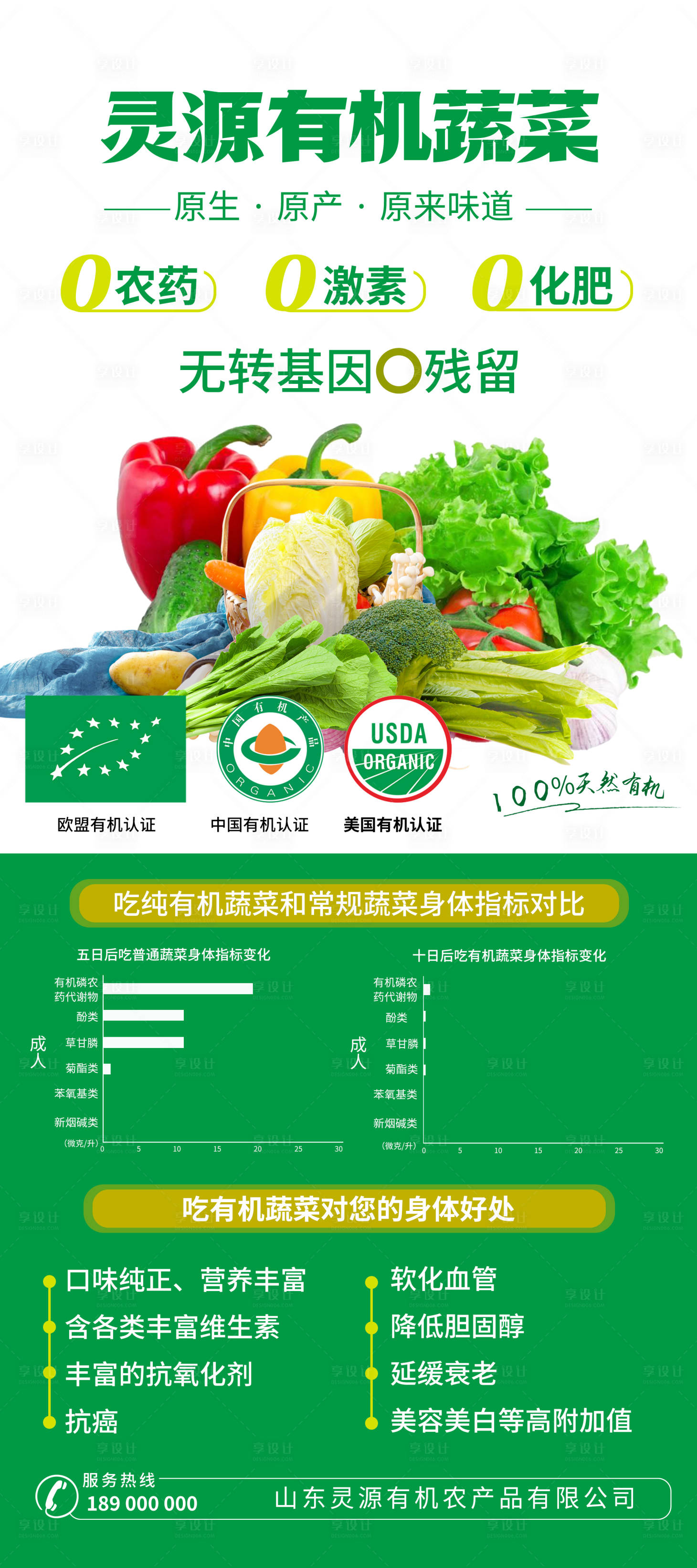源文件下载【蔬菜展架】编号：26130011733047920