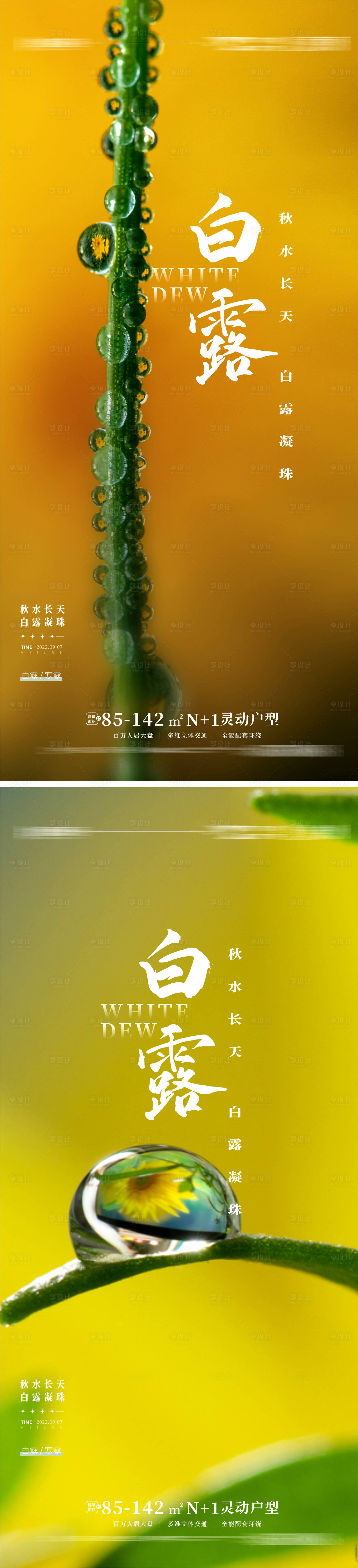 源文件下載【享設計】搜索編號：93860011654647707【地產白露寒露海報】