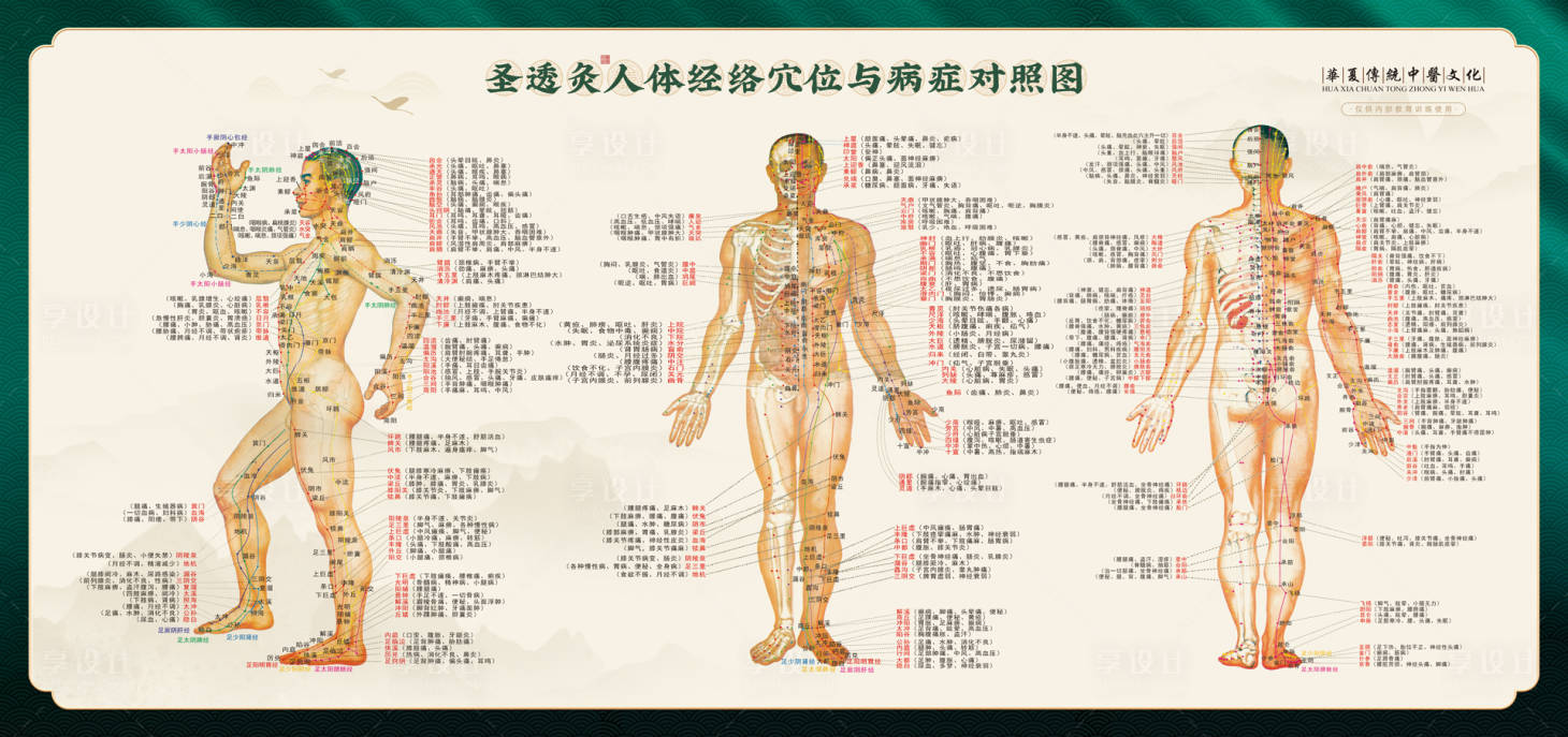 源文件下載【中醫經絡穴位艾灸圖】編號：84730011860462885