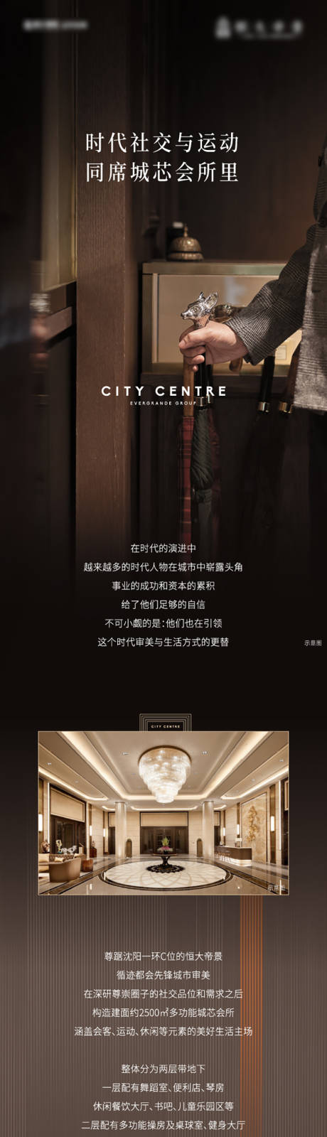 源文件下载【房地产会所价值点长图海报】编号：13320011904385873