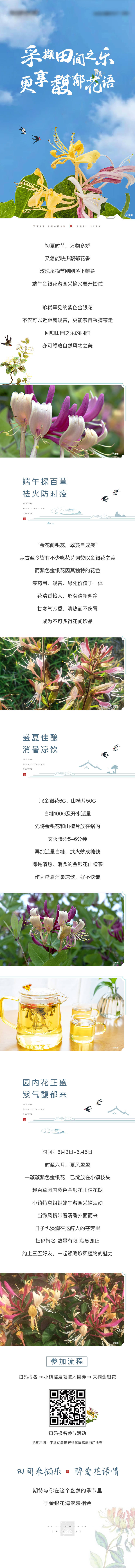源文件下載【享設計】搜索編號：42090011536411035【中式小鎮金銀花活動長圖】