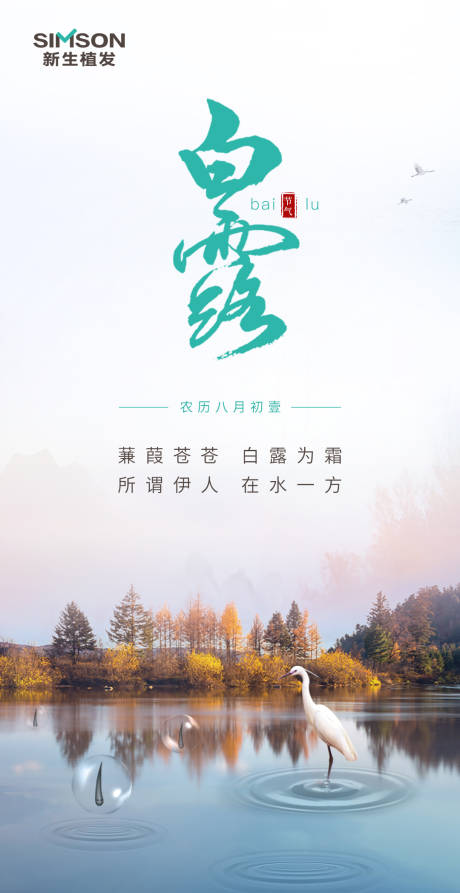 源文件下载【医美植发白露节气借势海报】编号：24960011616942459