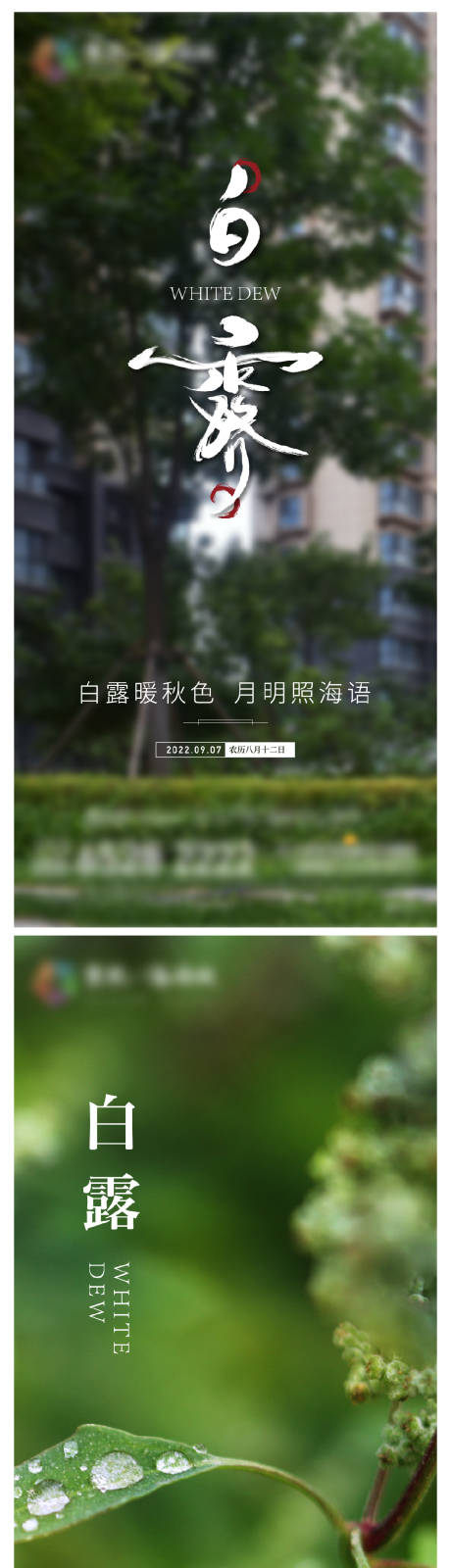 源文件下载【享设计】搜索编号：70780011948148494【地产白露节气海报】